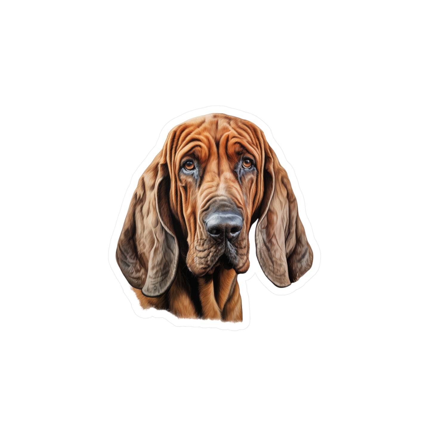 Bloodhound Sticker - Kiss-Cut Vinyl Dog Decals