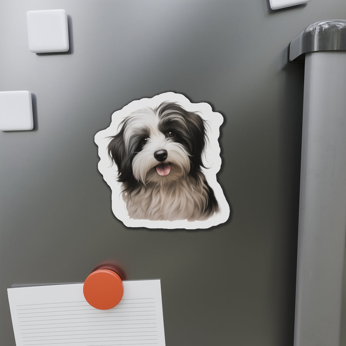 Havanese Magnet