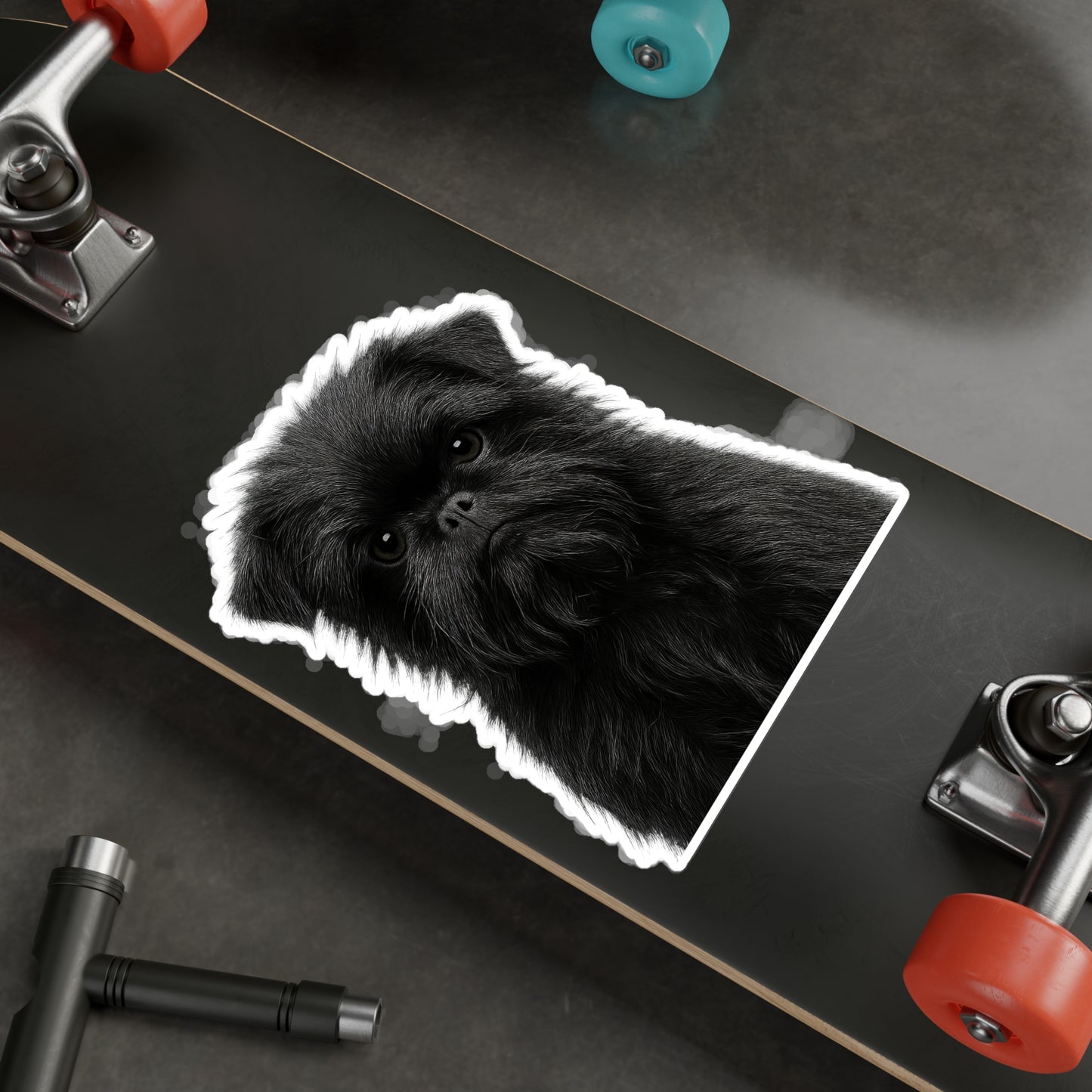 Affenpinscher decal - Affenpinscher sticker - Dog Sticker - Pet Decal - Outdoor - Indoor