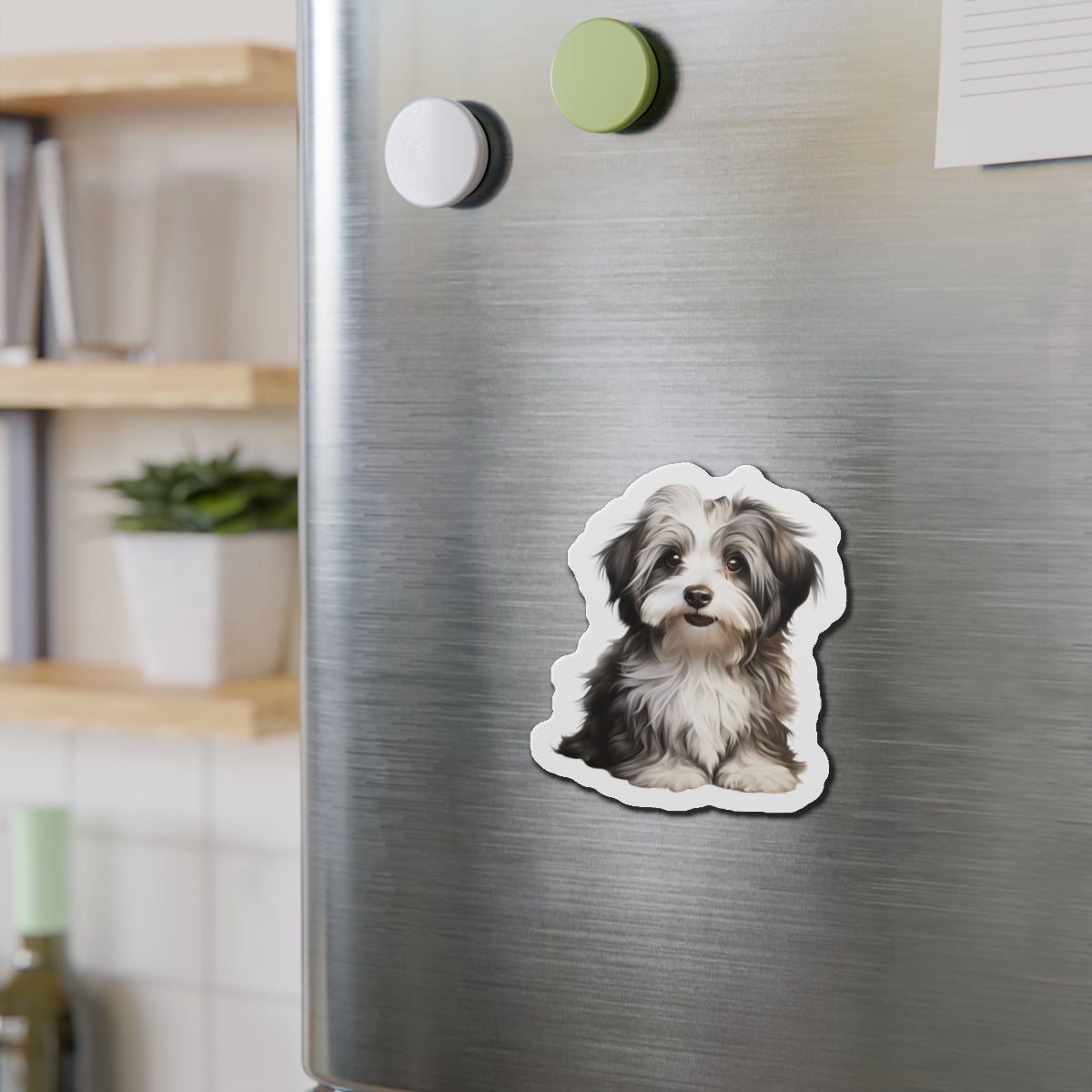 Havanese Magnet