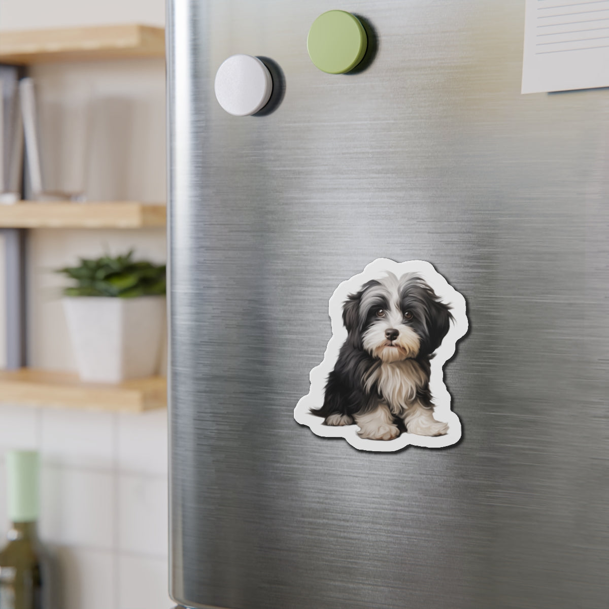 Havanese Magnet