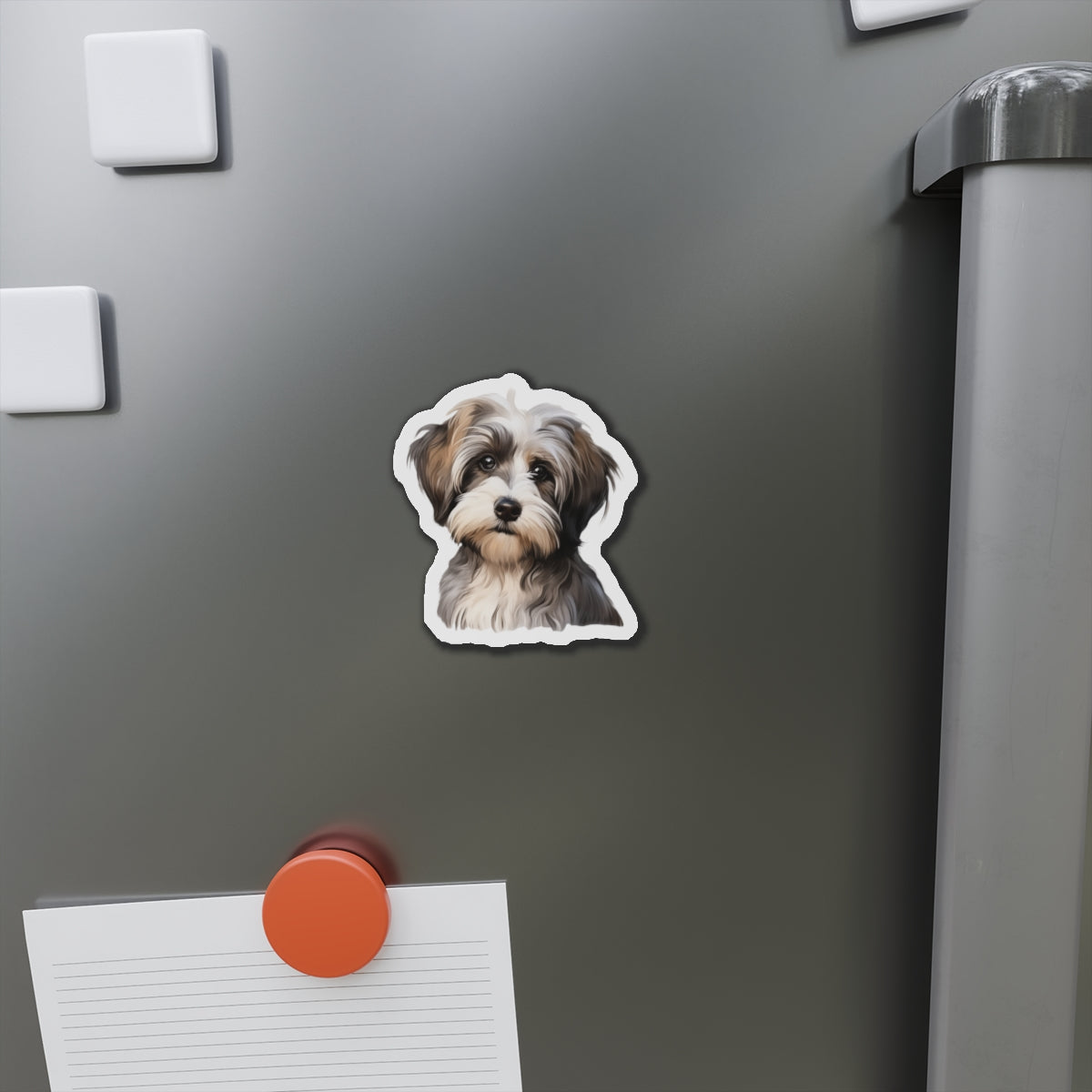 Havanese Magnet