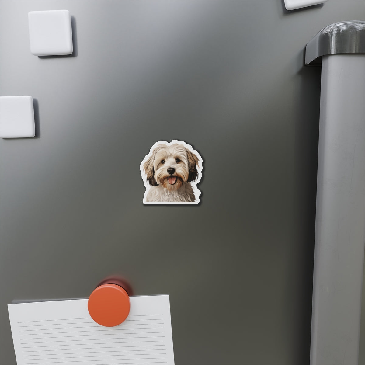 Havanese Magnet