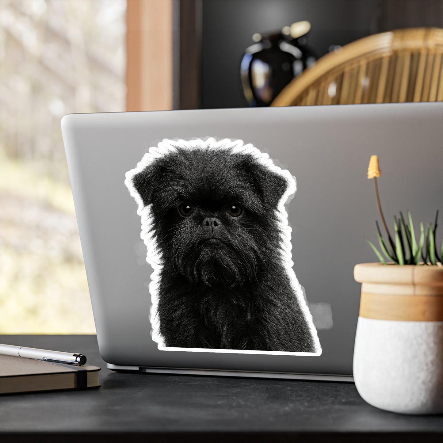 Affenpinscher decal - Affenpinscher sticker - Dog Sticker - Pet Decal - Outdoor - Indoor