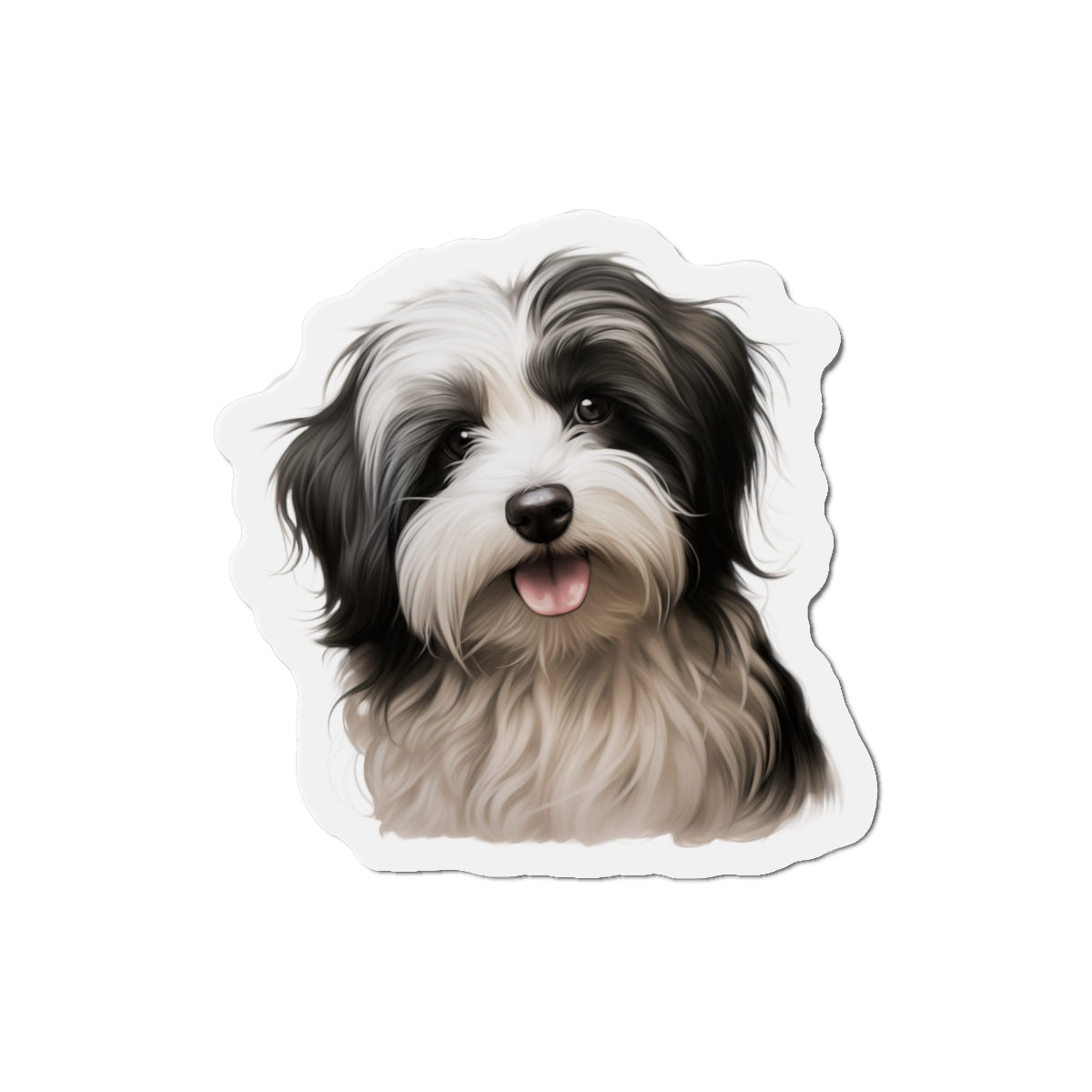 Havanese Magnet