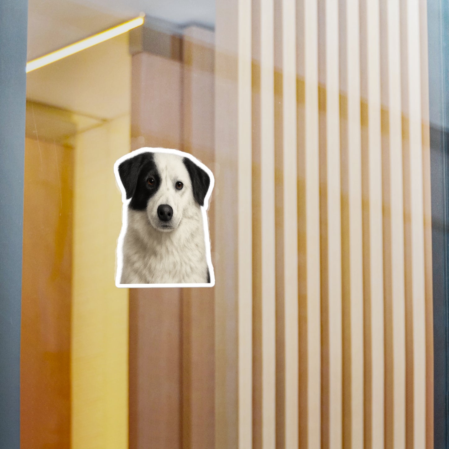 Aidi decal on window