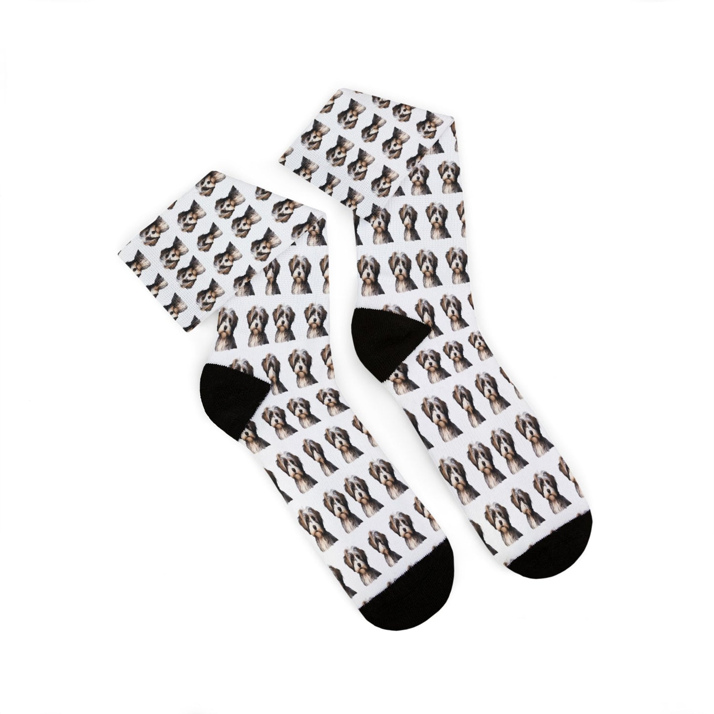 Havanese Socks