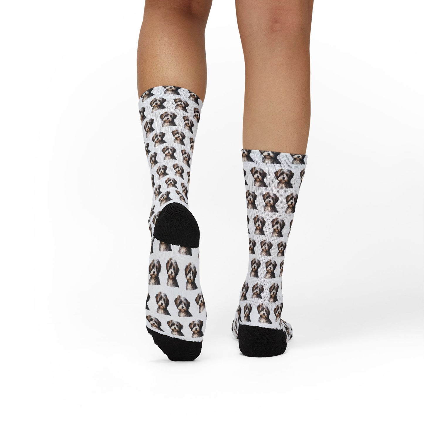 Havanese Socks