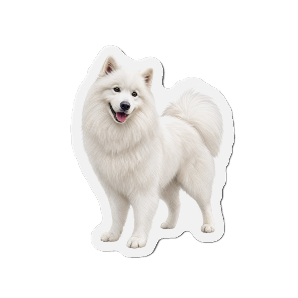 Samoyed Magnet