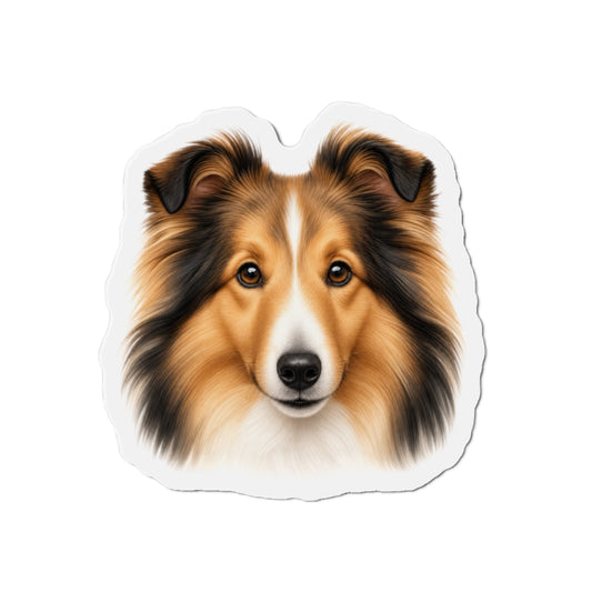 Shetland Sheepdog Portrait  Magnet | Dog Lover Gift
