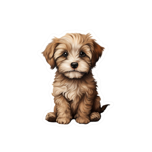 Shihpoo Sticker