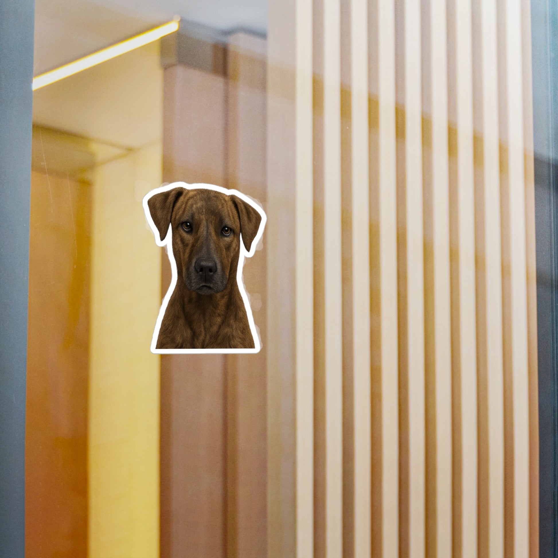 Africanis decal on window