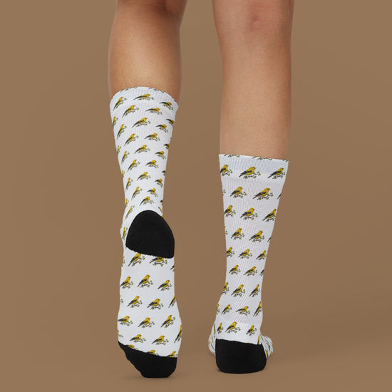 finch socks video