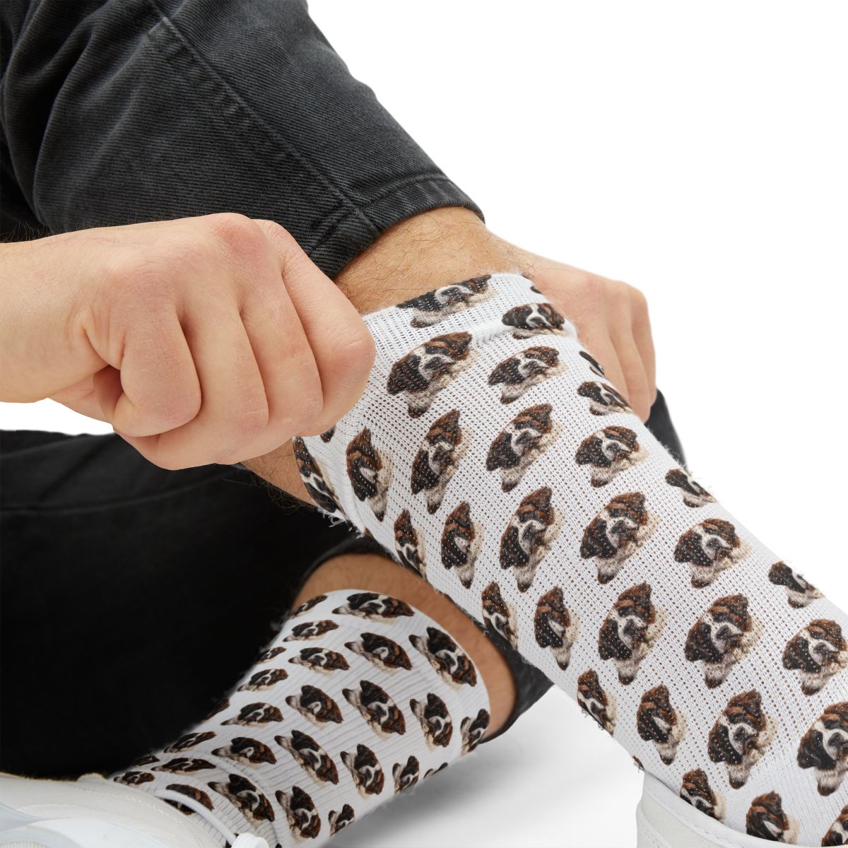 Saint Bernard Socks