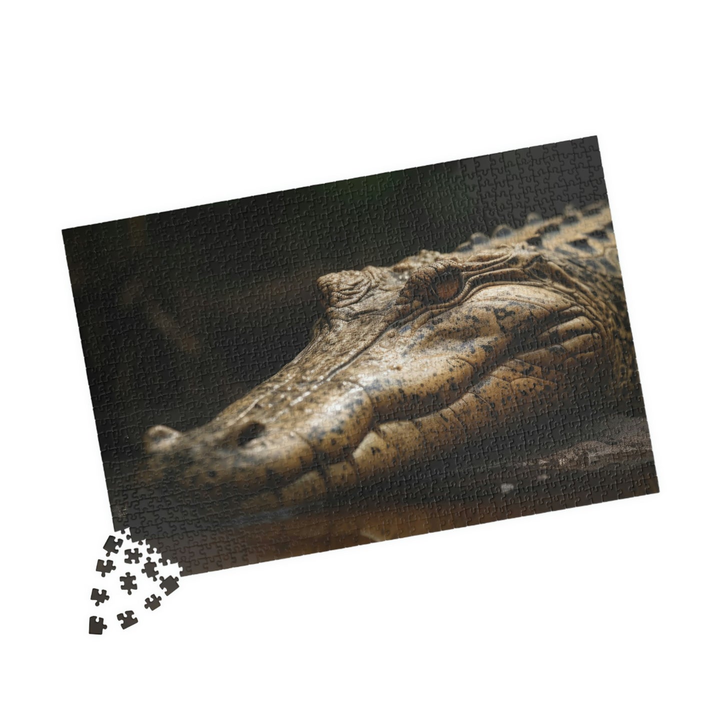 Crocodile Puzzle (500, 1014-piece)