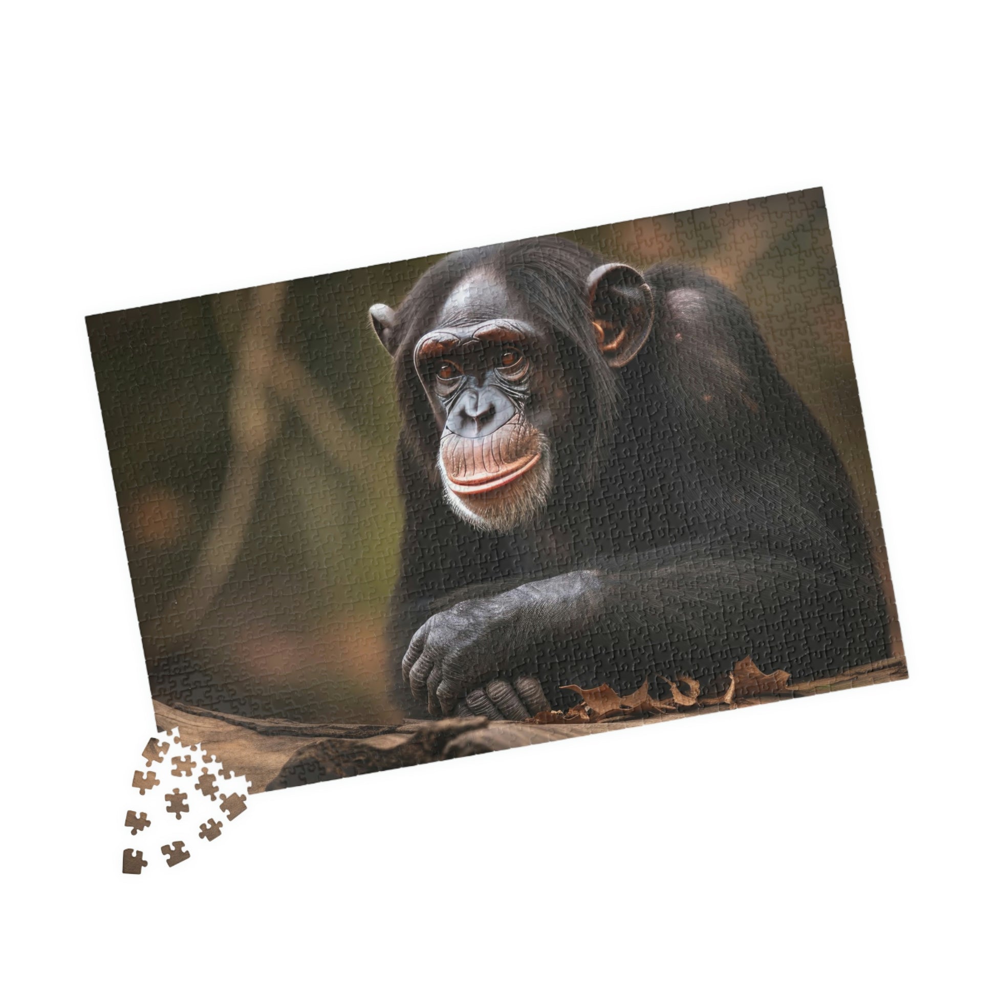 chimpanzee puzzle pieces