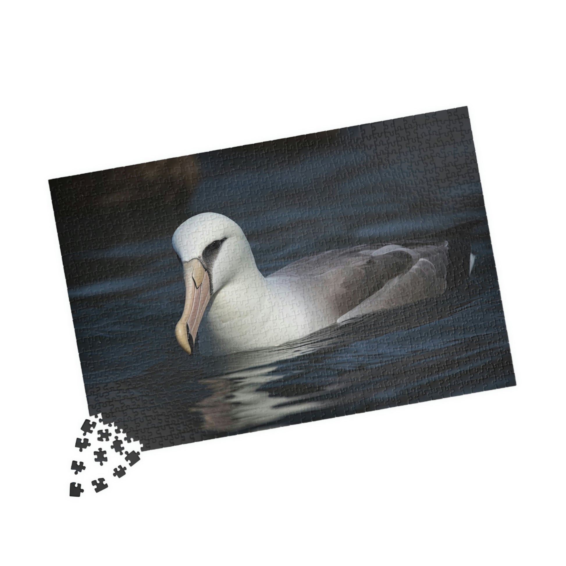 albatross jigsaw puzzle