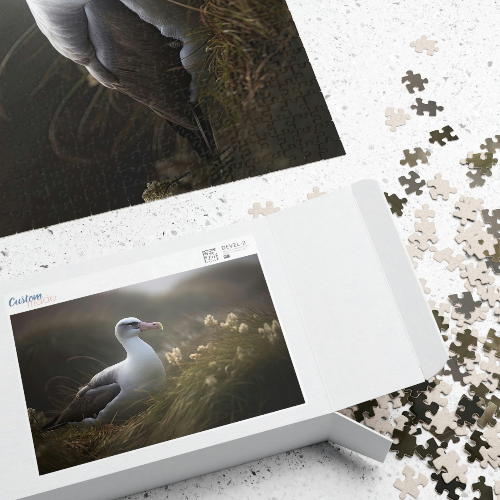 albatross puzzle box