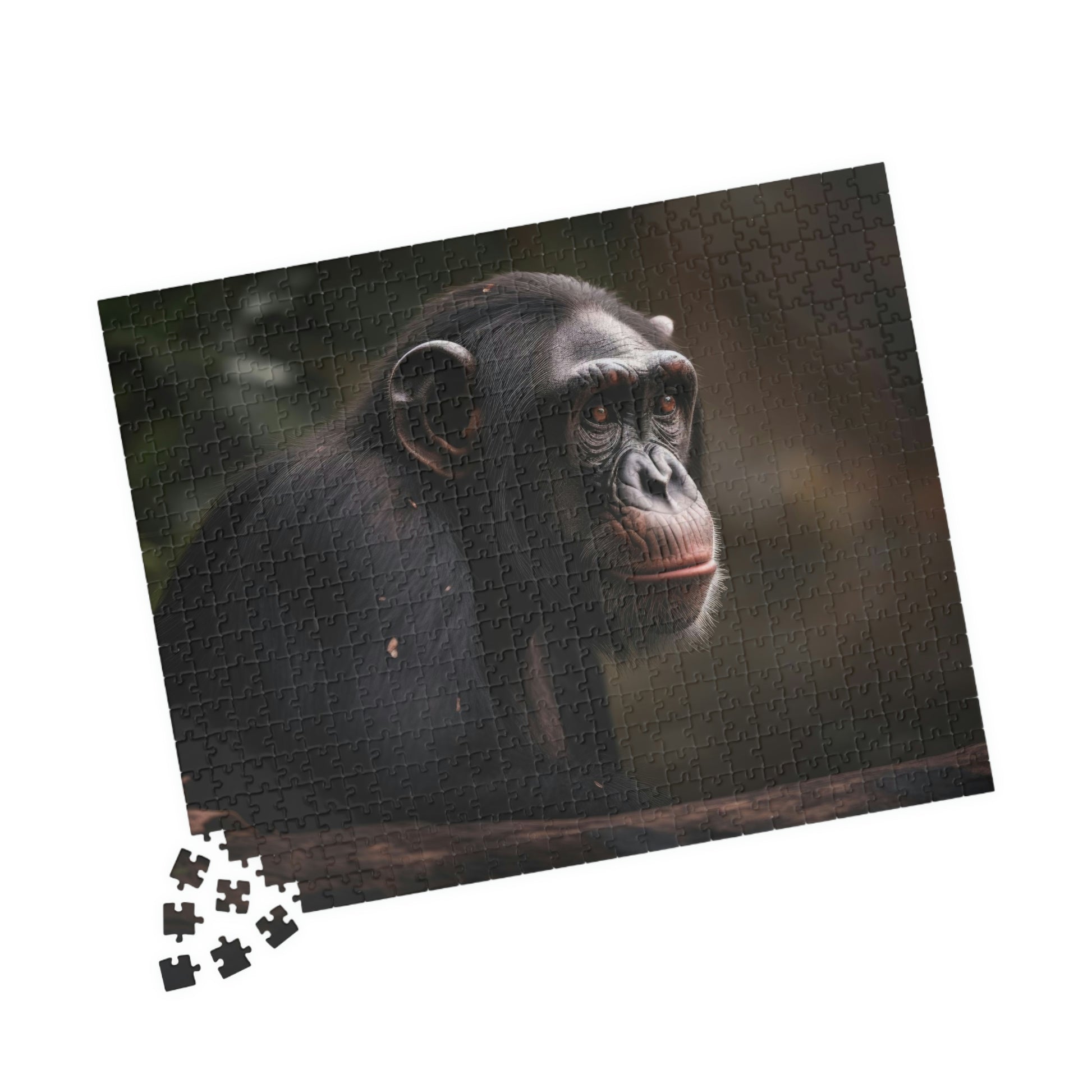 jigsaw puzzle