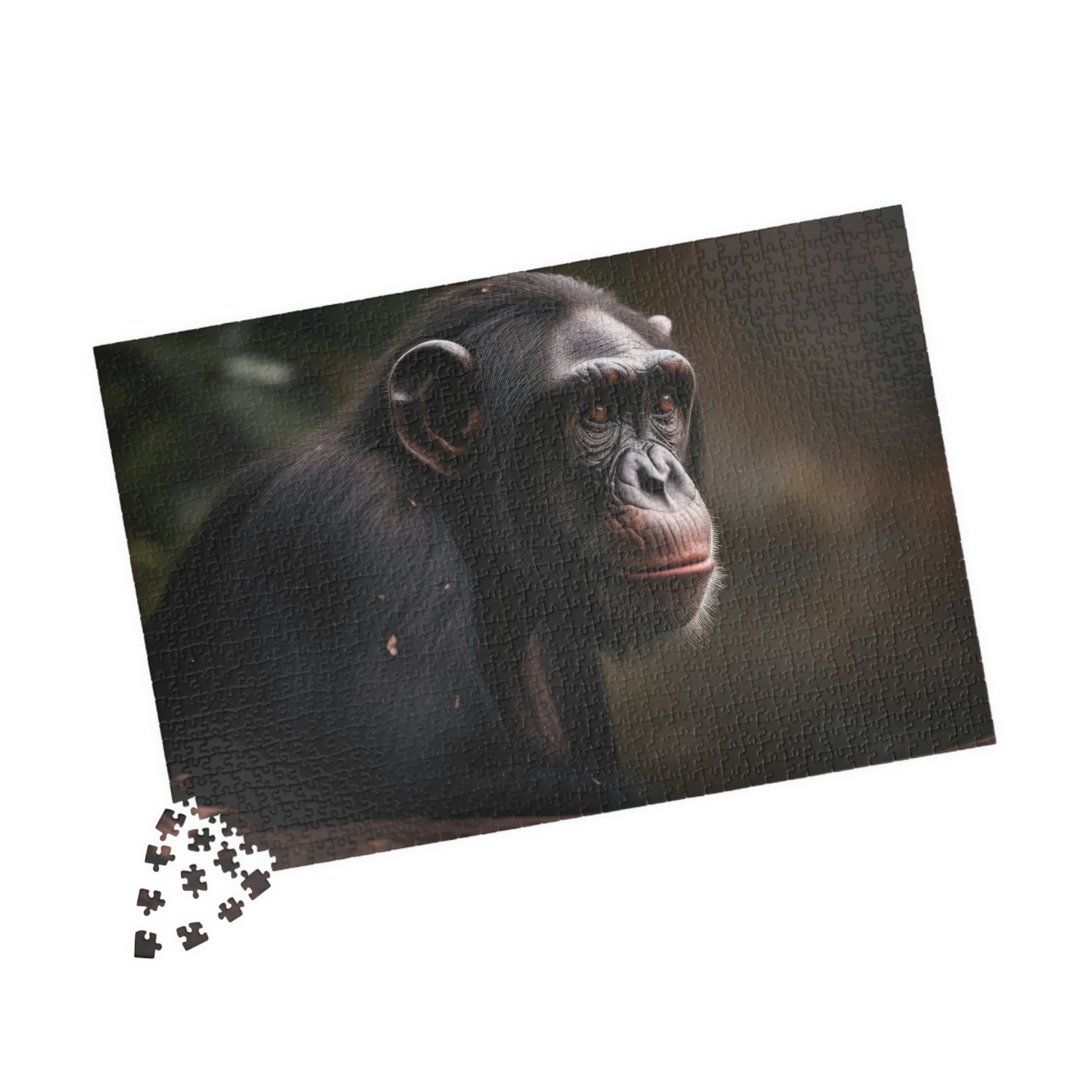 chimpanzee puzzle pieces
