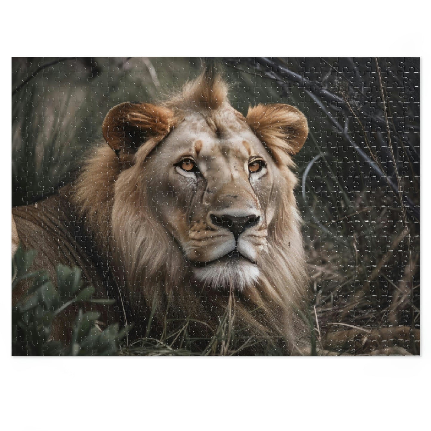 Majestic Lion 1 Puzzle: (500, 1000 pc)