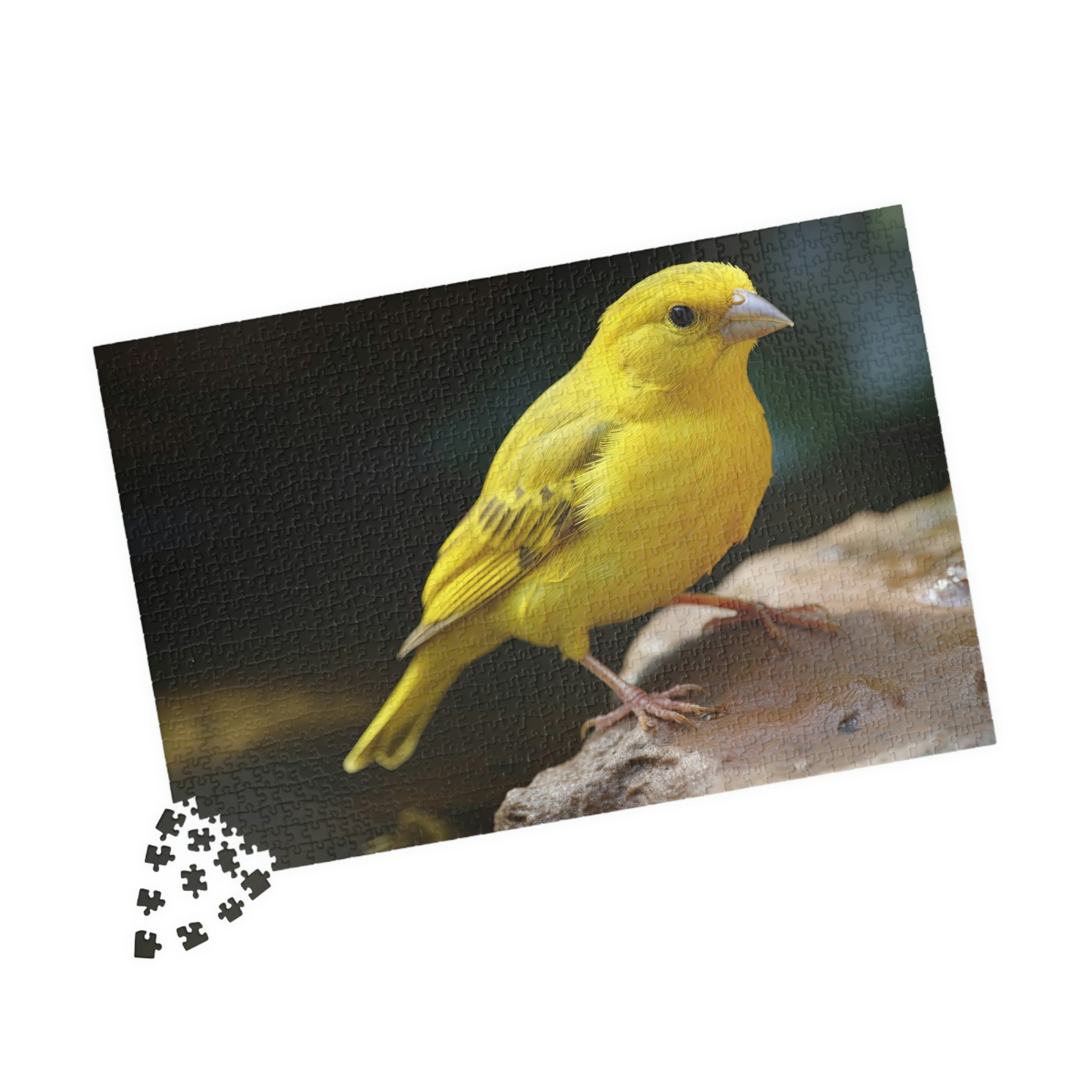 canary puzzle pieces