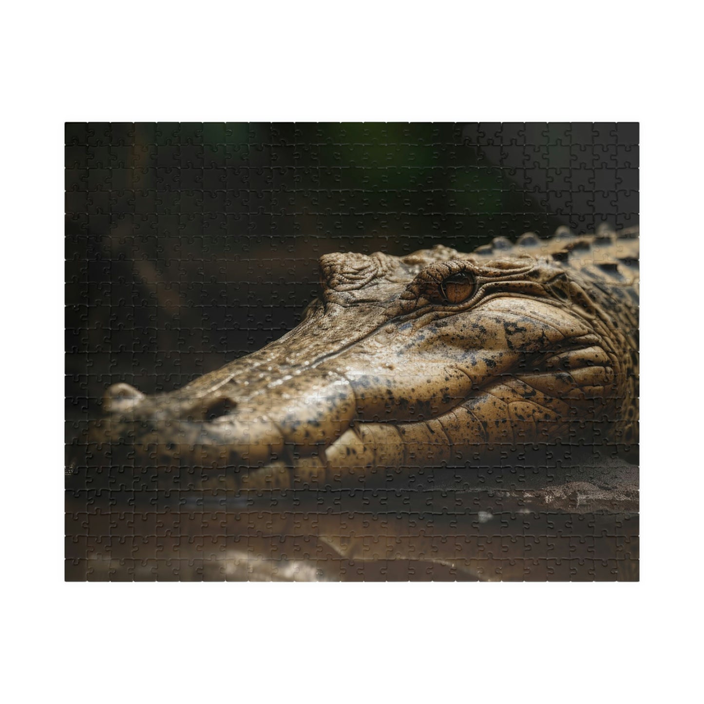 Crocodile Puzzle (500, 1014-piece)