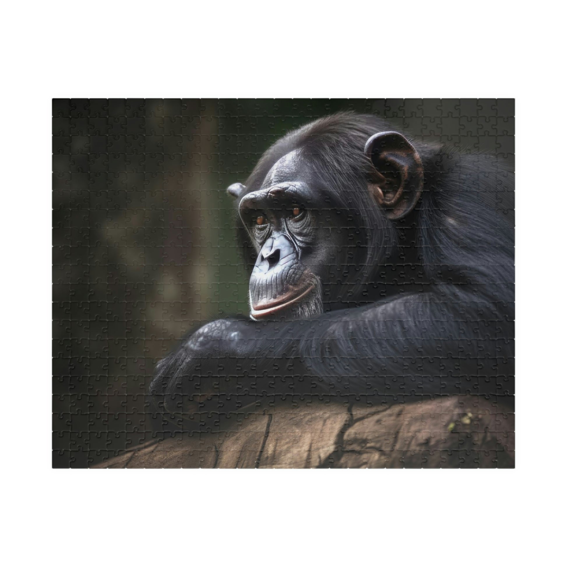 jigsaw puzzle