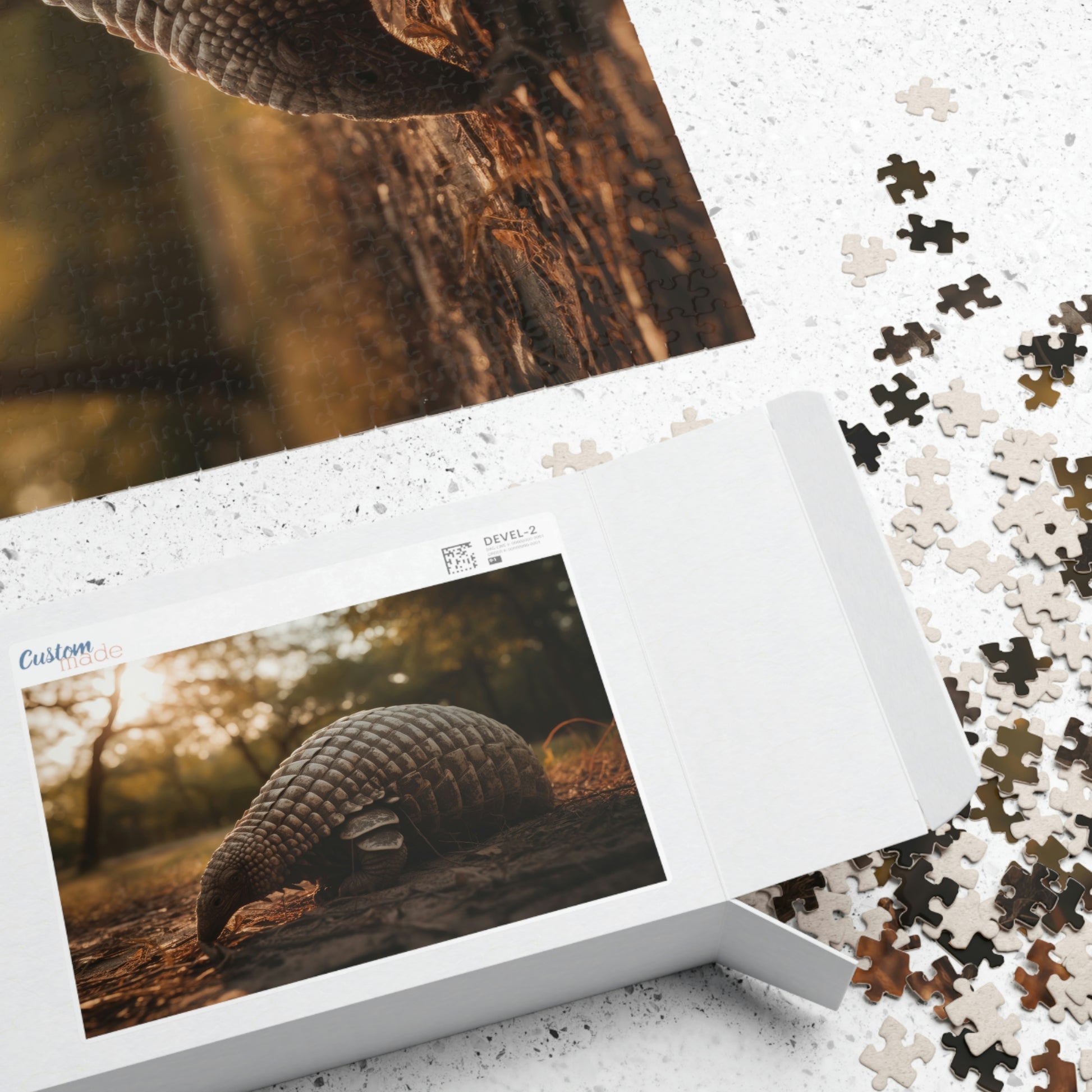 armadillo puzzle box