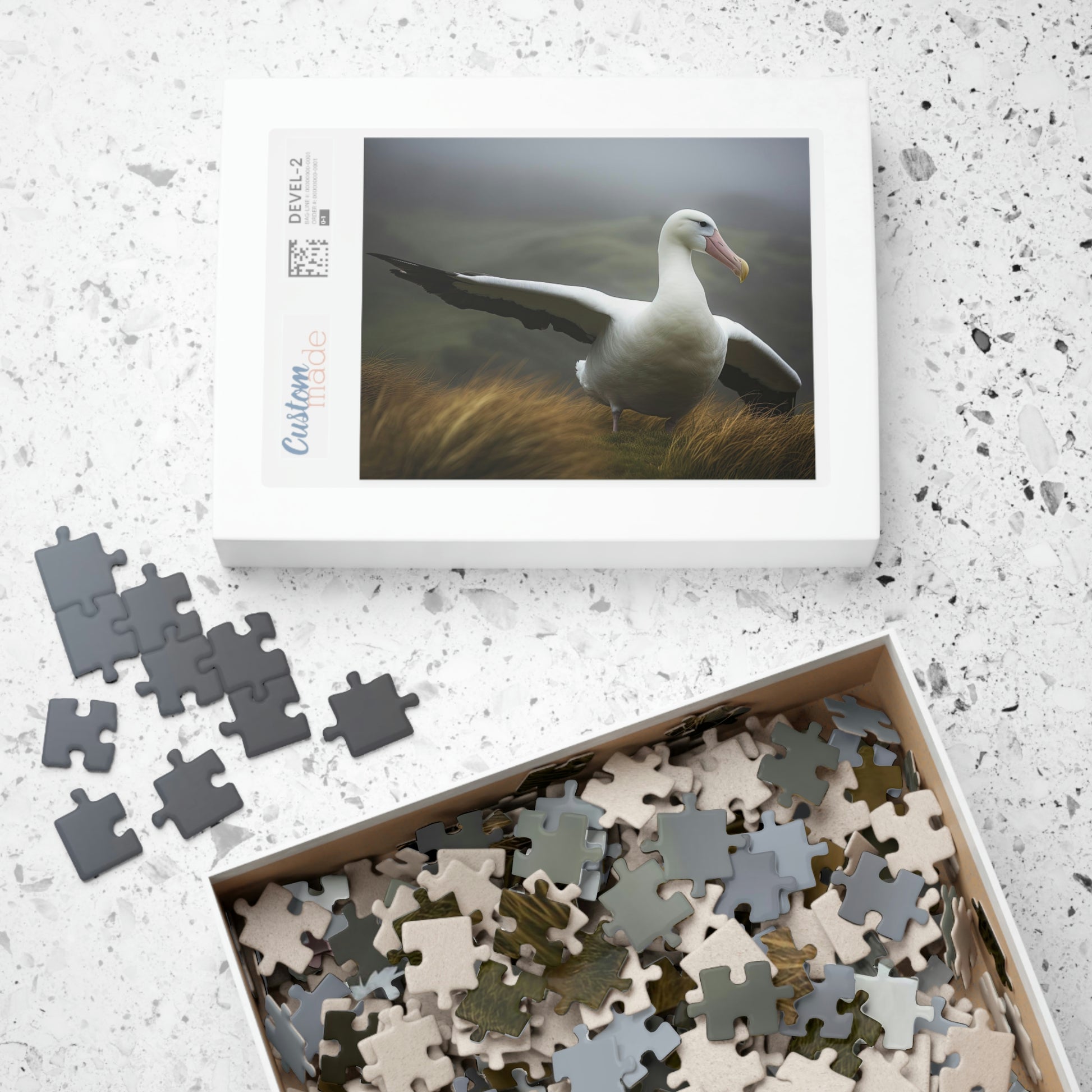 albatross puzzle box open