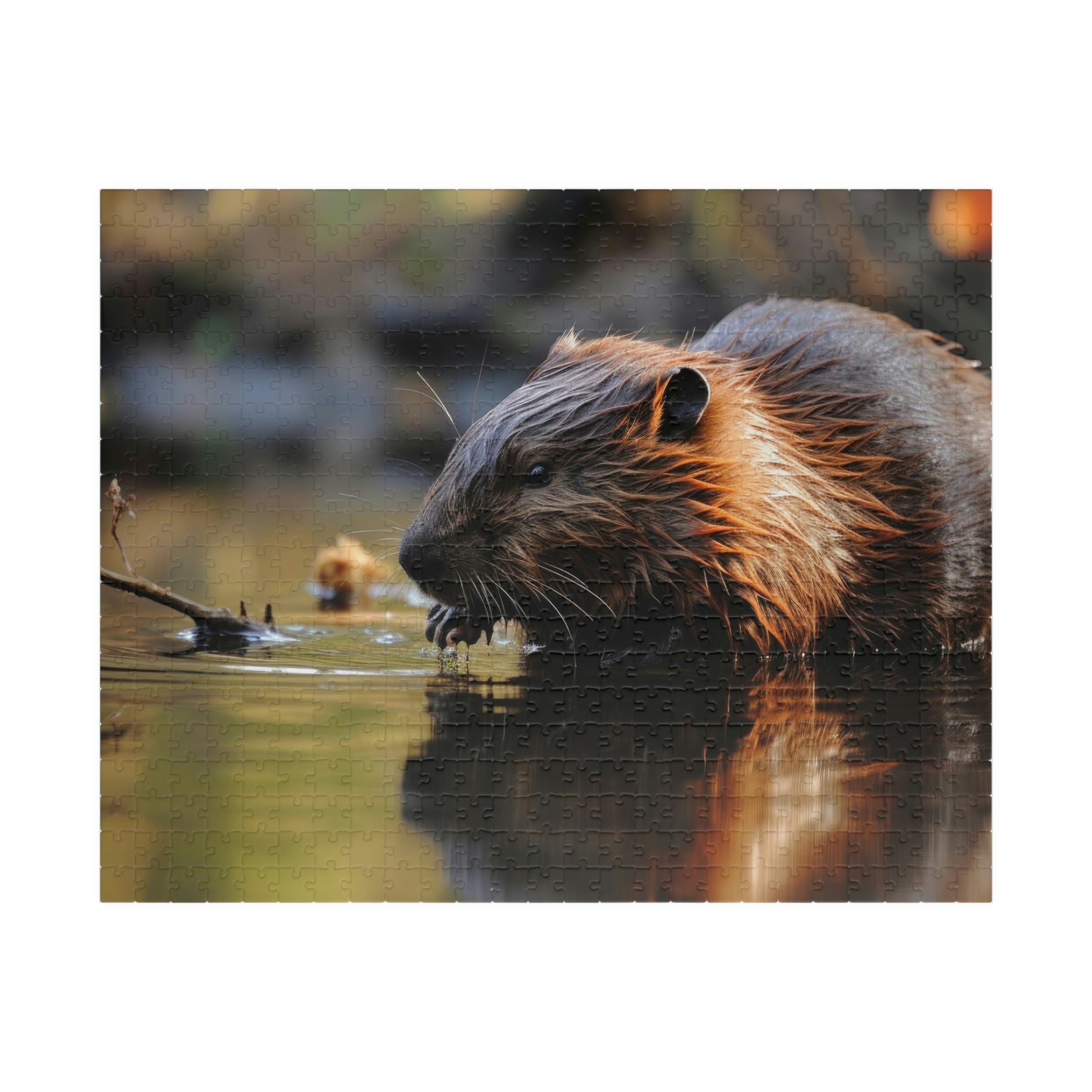 beaver jigsaw puzzle