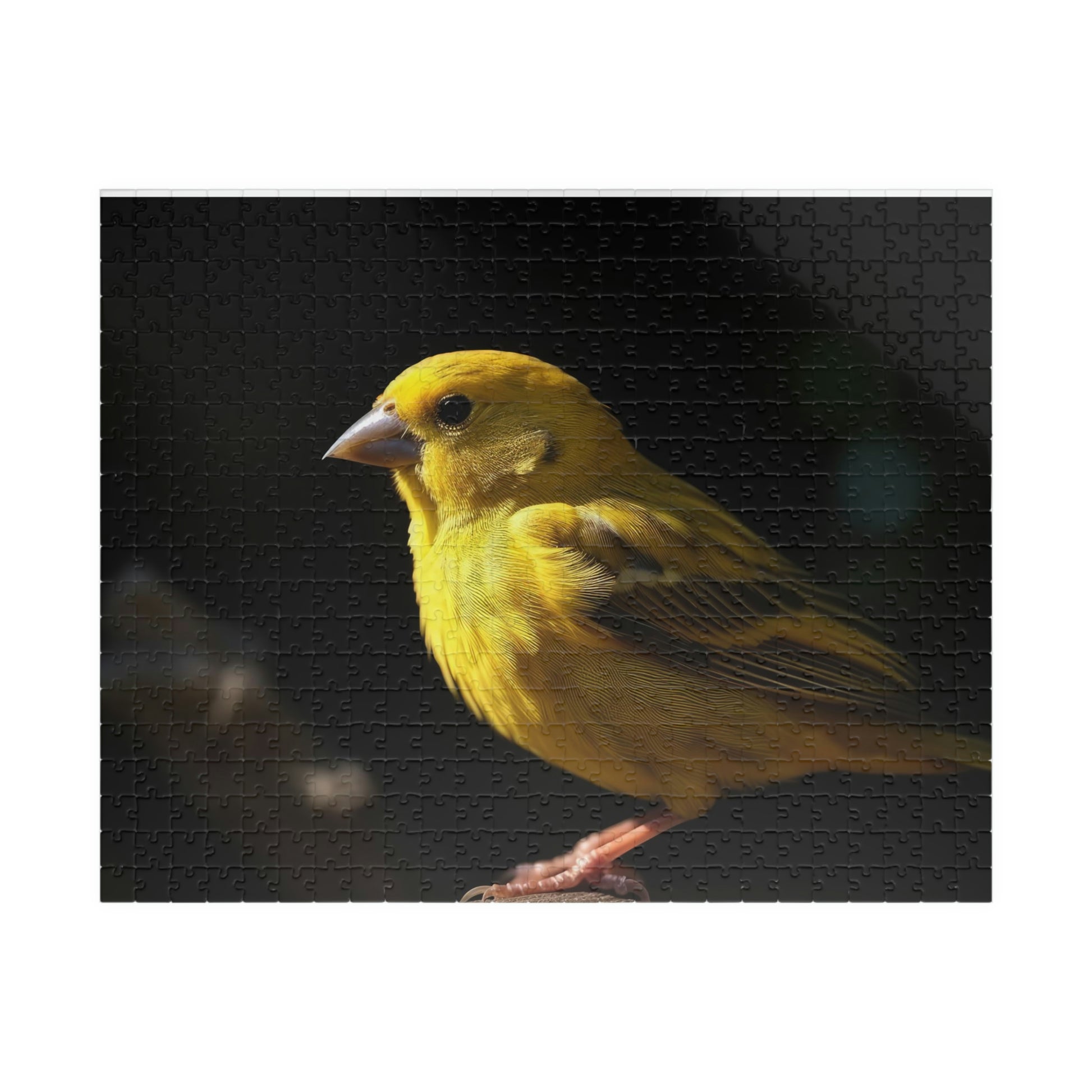 canary jigsaw puzzle