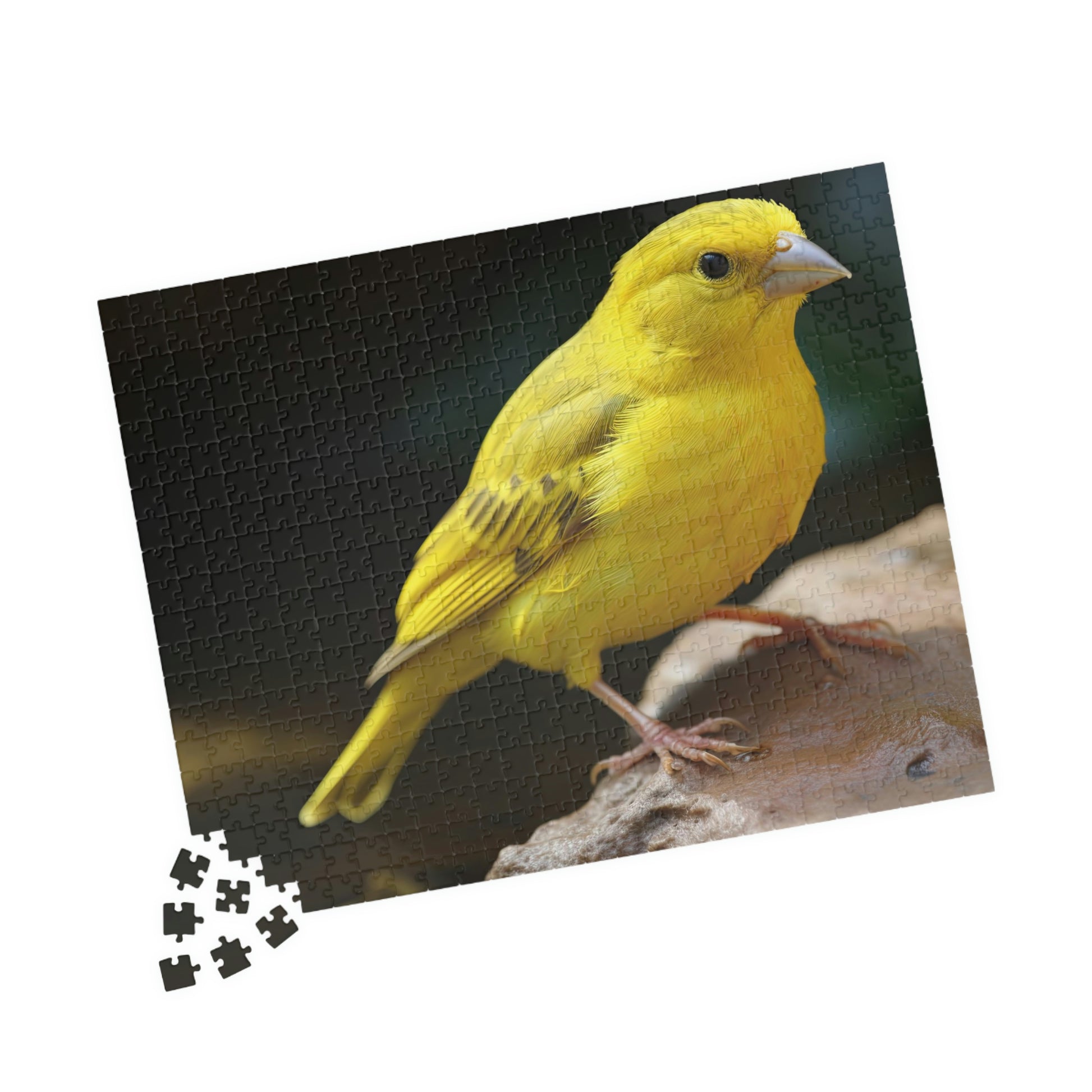 canary jigsaw puzzle pieces