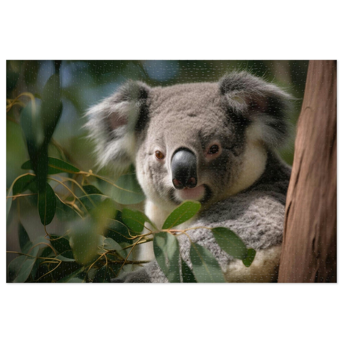 Koala's Siesta 1 (500, 1000 piece)