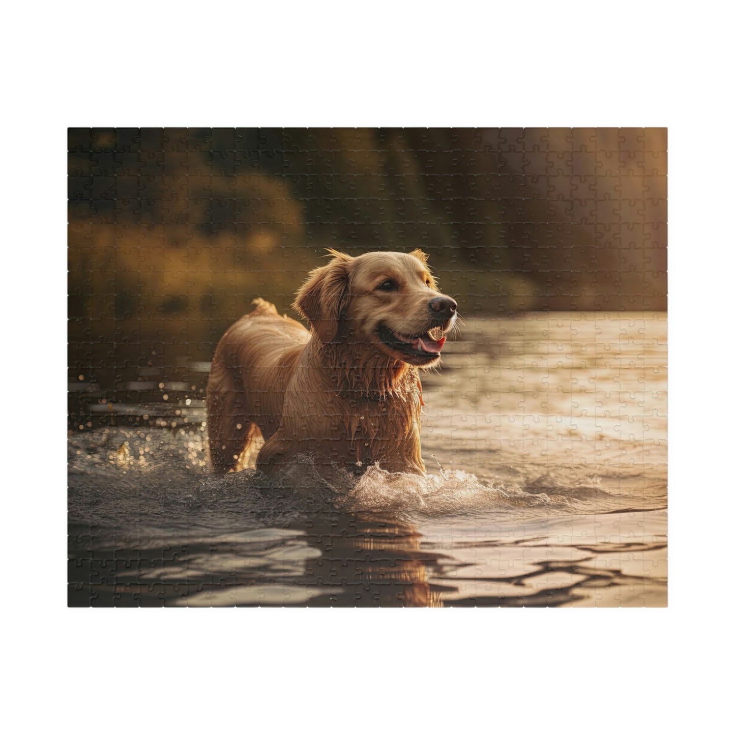 Golden Retriever Puzzle (500, 1014-piece)