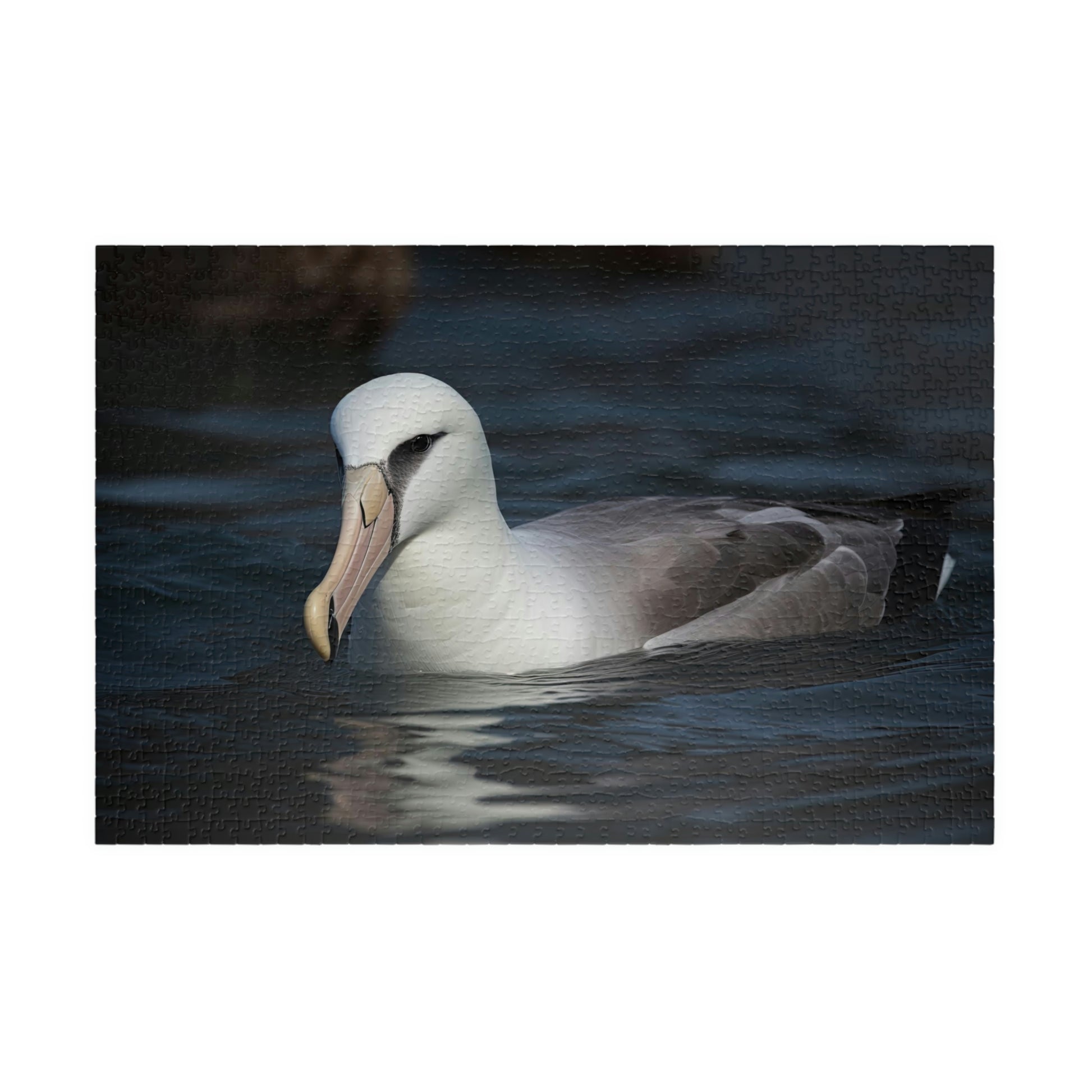 Albatross puzzle