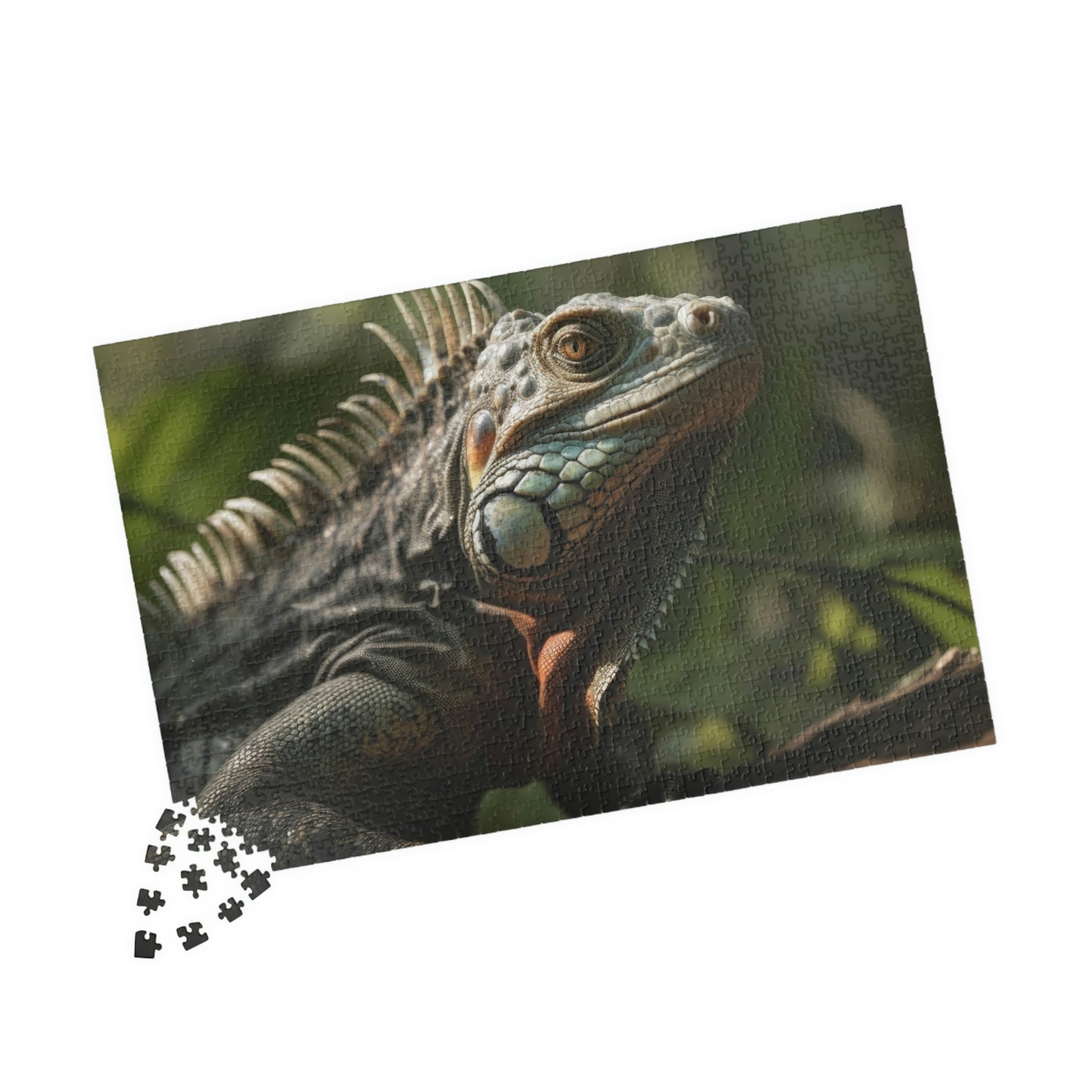 Iguana Puzzle (500, 1014-piece)