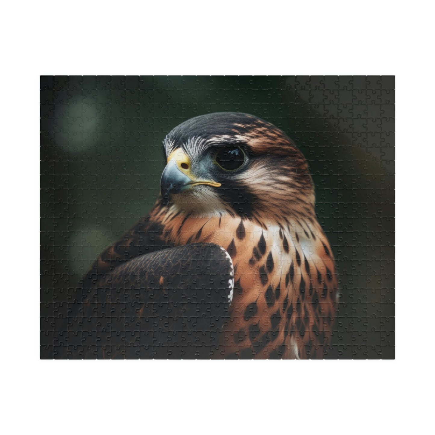 Falcon Puzzle (500, 1014-piece)