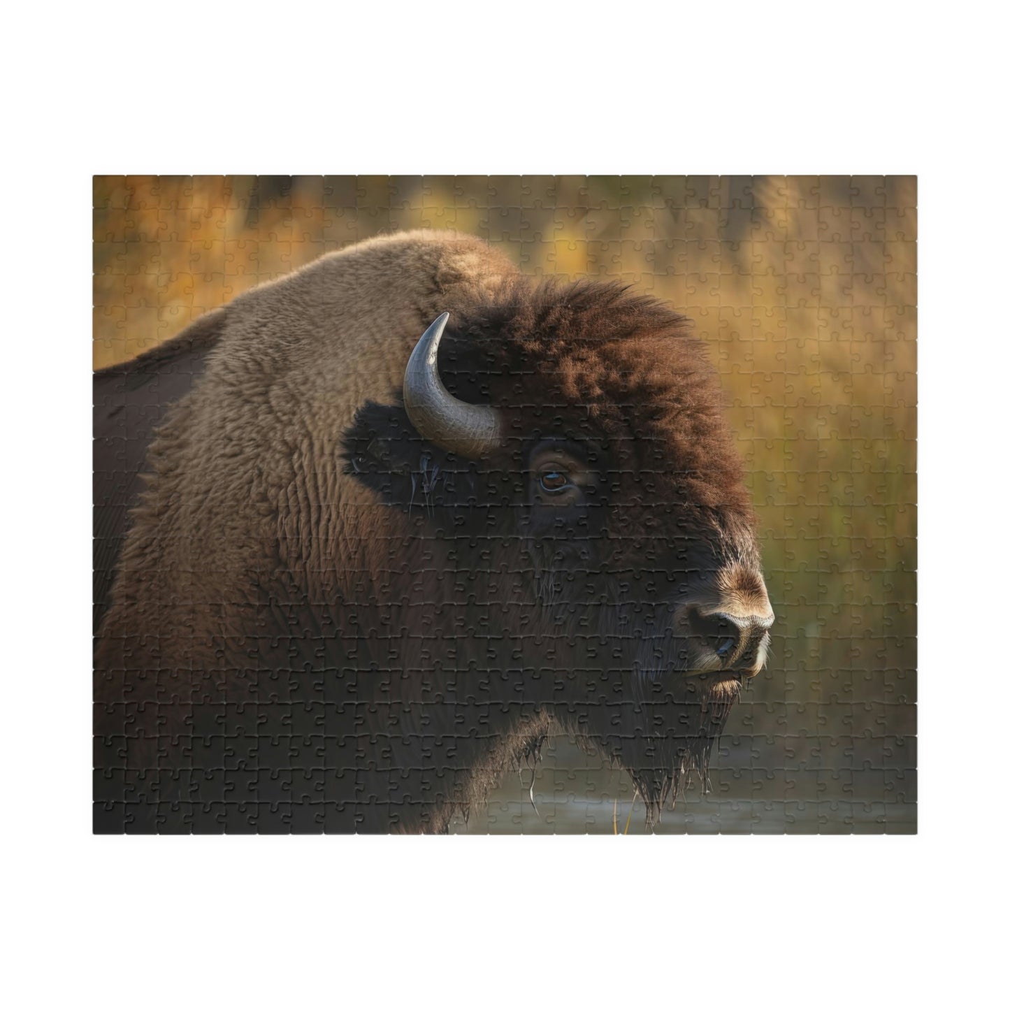 buffalo jigsaw puzzle