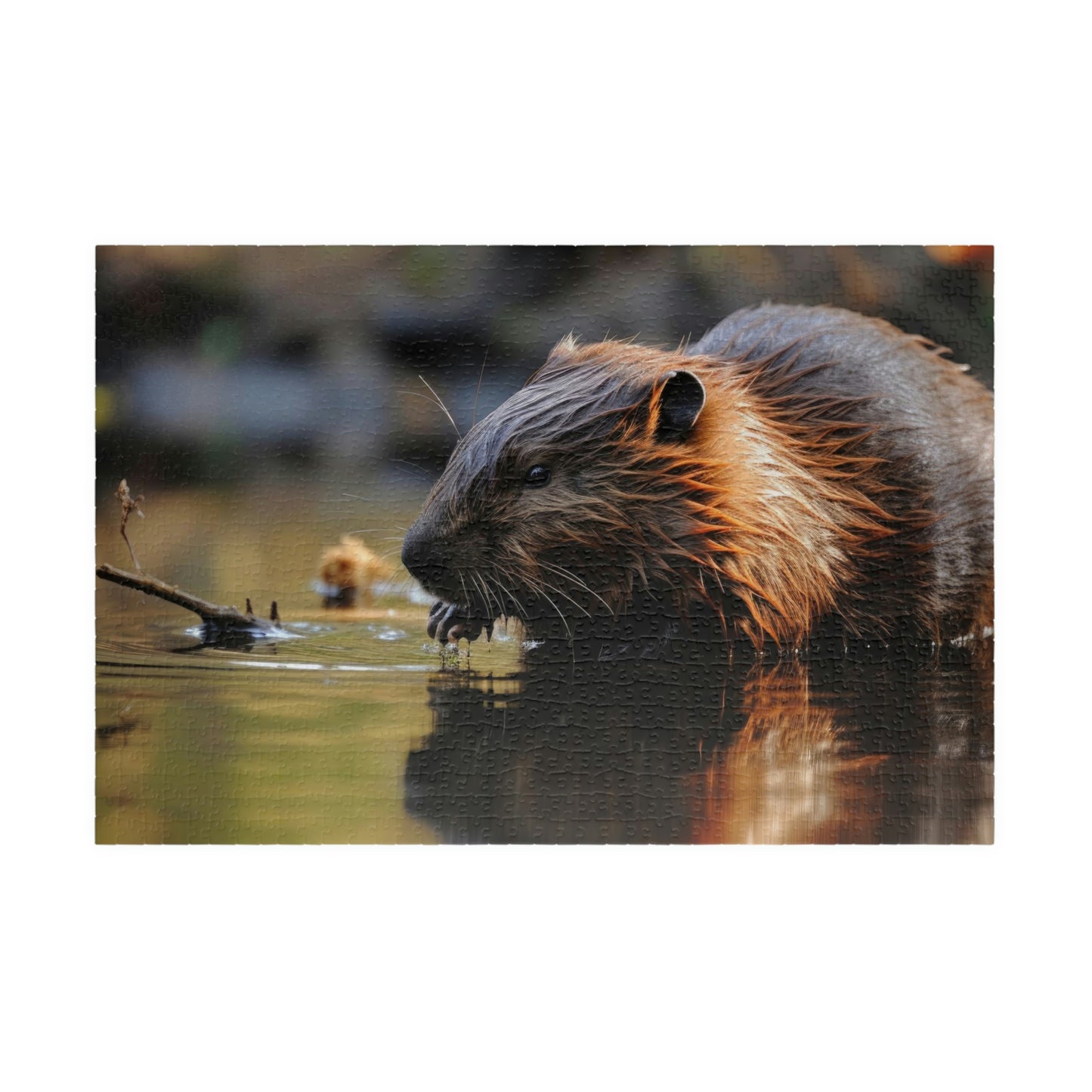 beaver puzzle