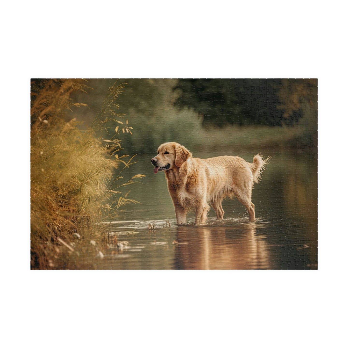 Golden Retriever Puzzle (500, 1014-piece)