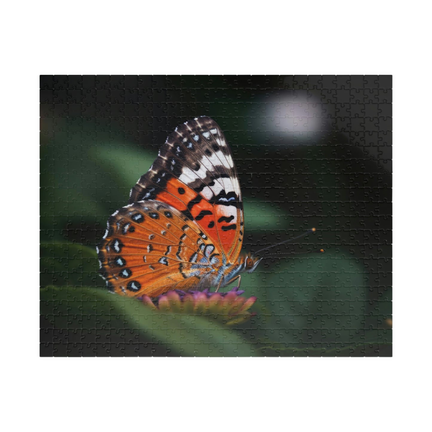 butterfly jigsaw puzzle