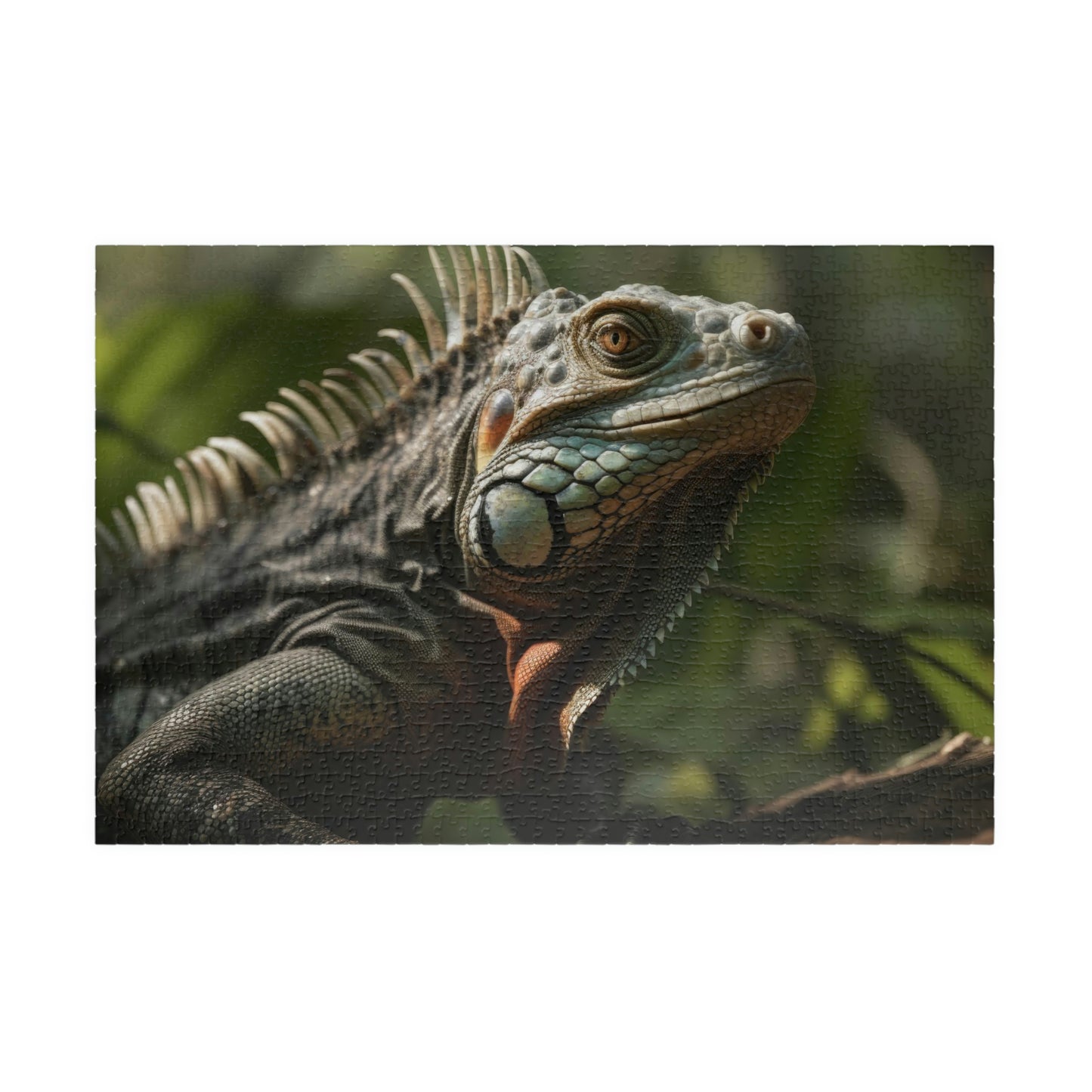 Iguana Puzzle (500, 1014-piece)