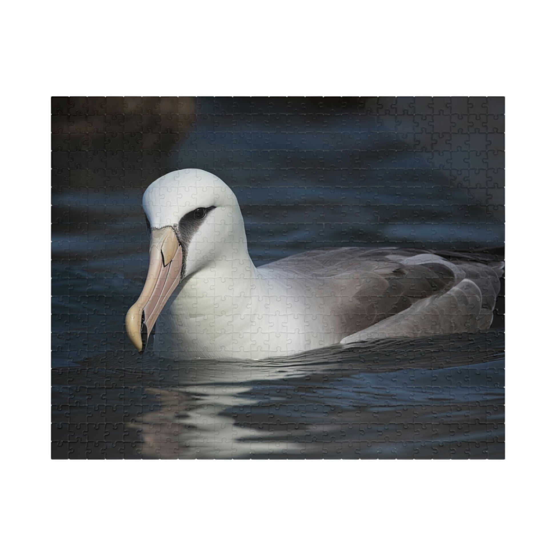 albatross puzzle