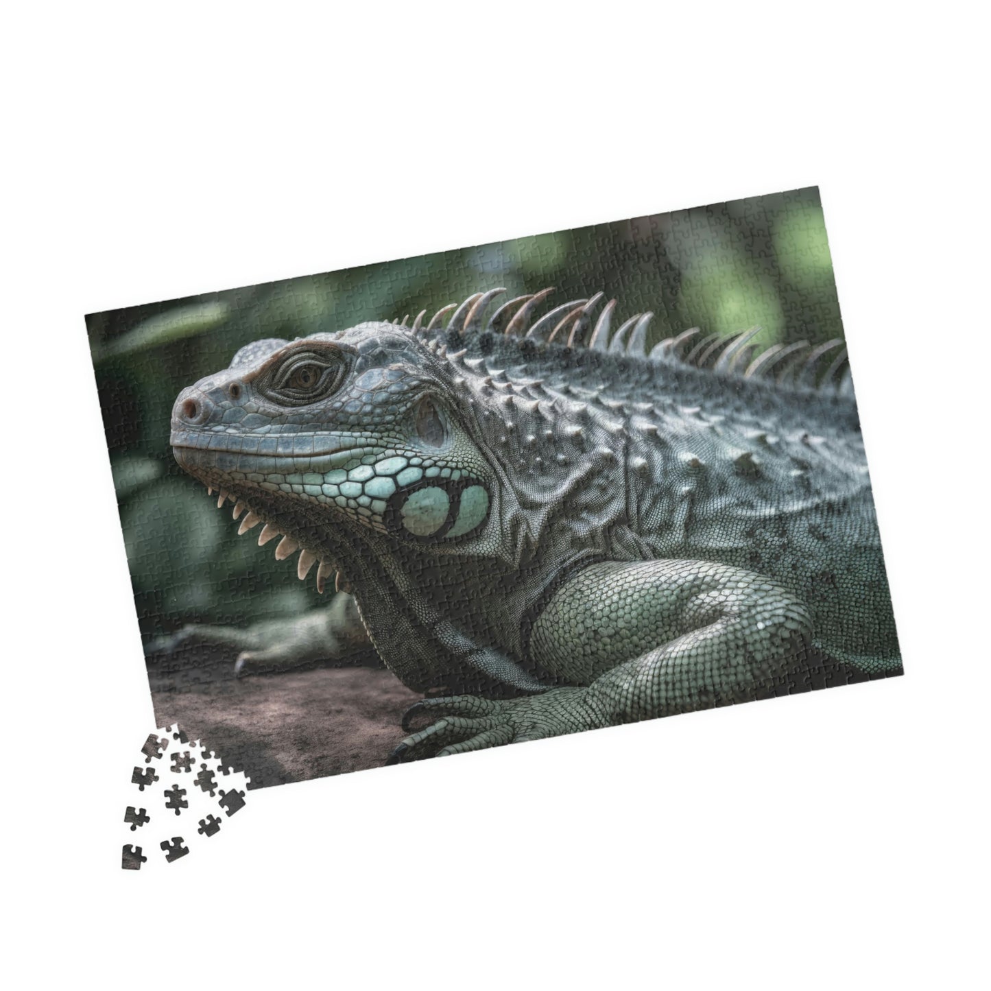 Iguana Puzzle (500, 1014-piece)