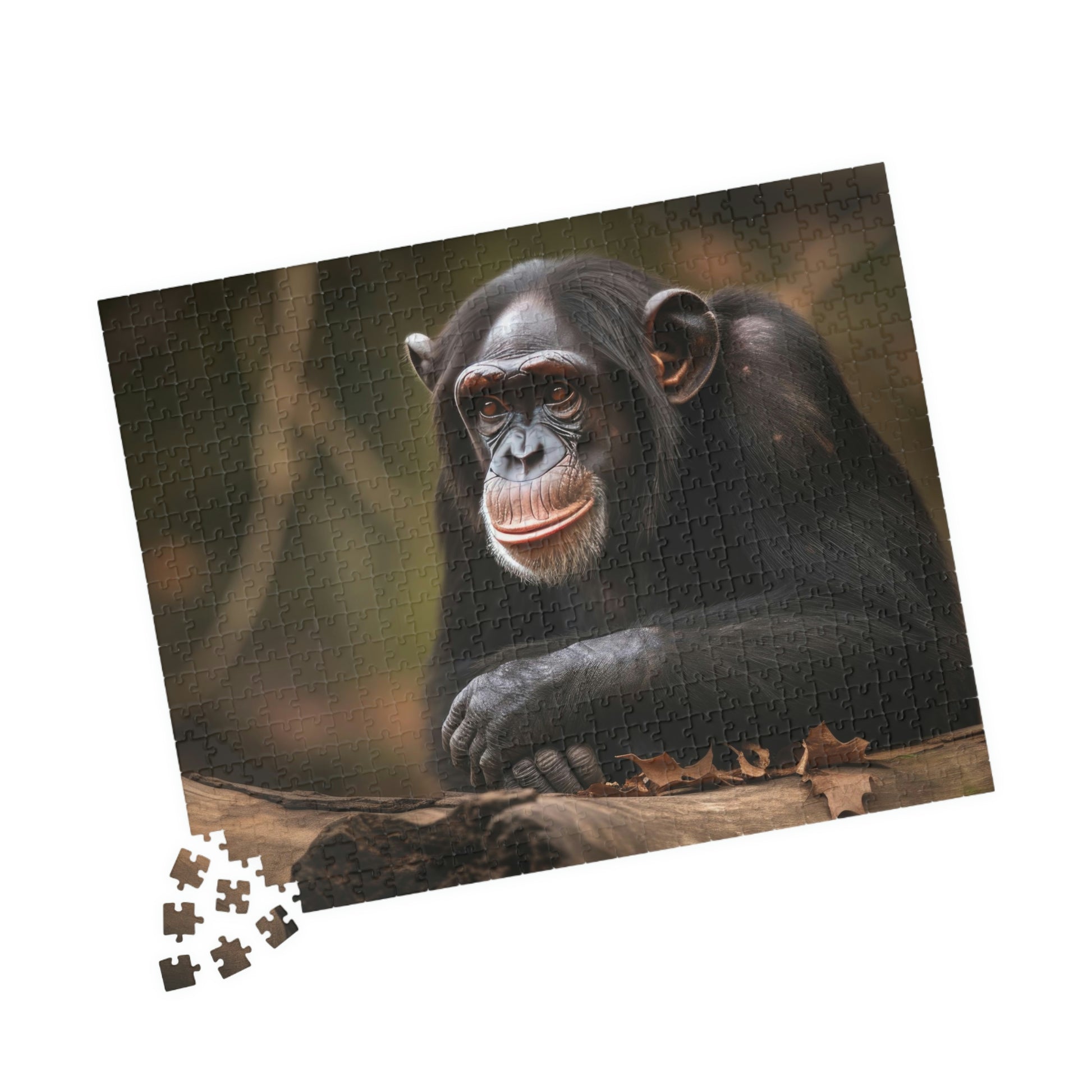 jigsaw puzzle