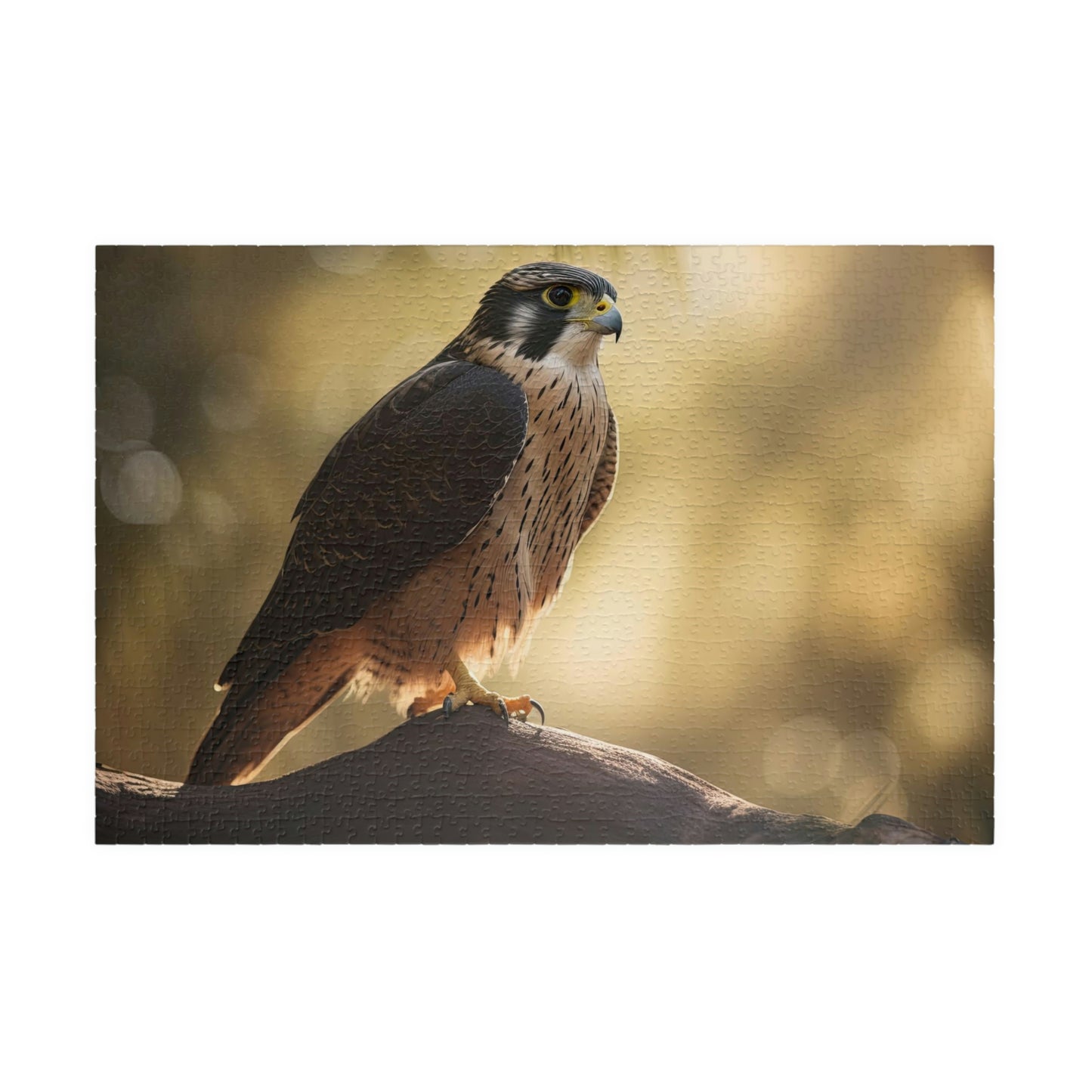 Falcon Puzzle (500, 1014-piece)