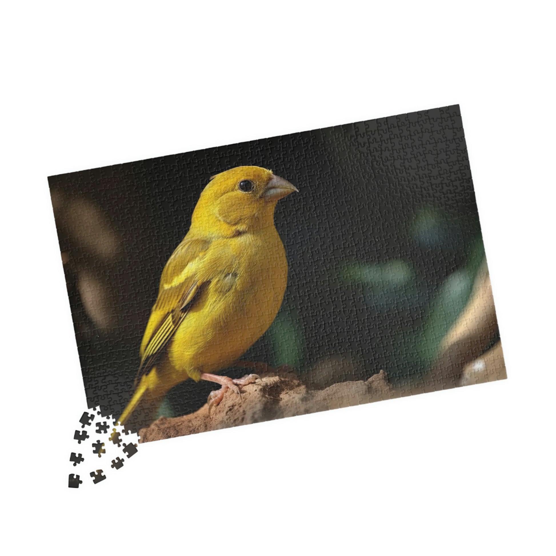 canary puzzle pieces