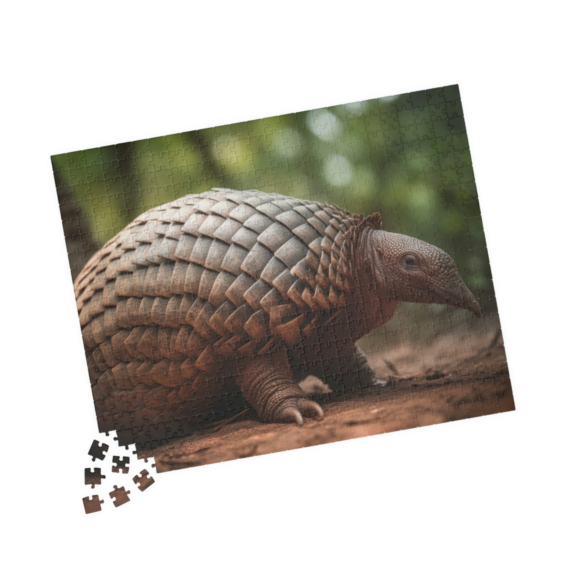 armadillo puzzle