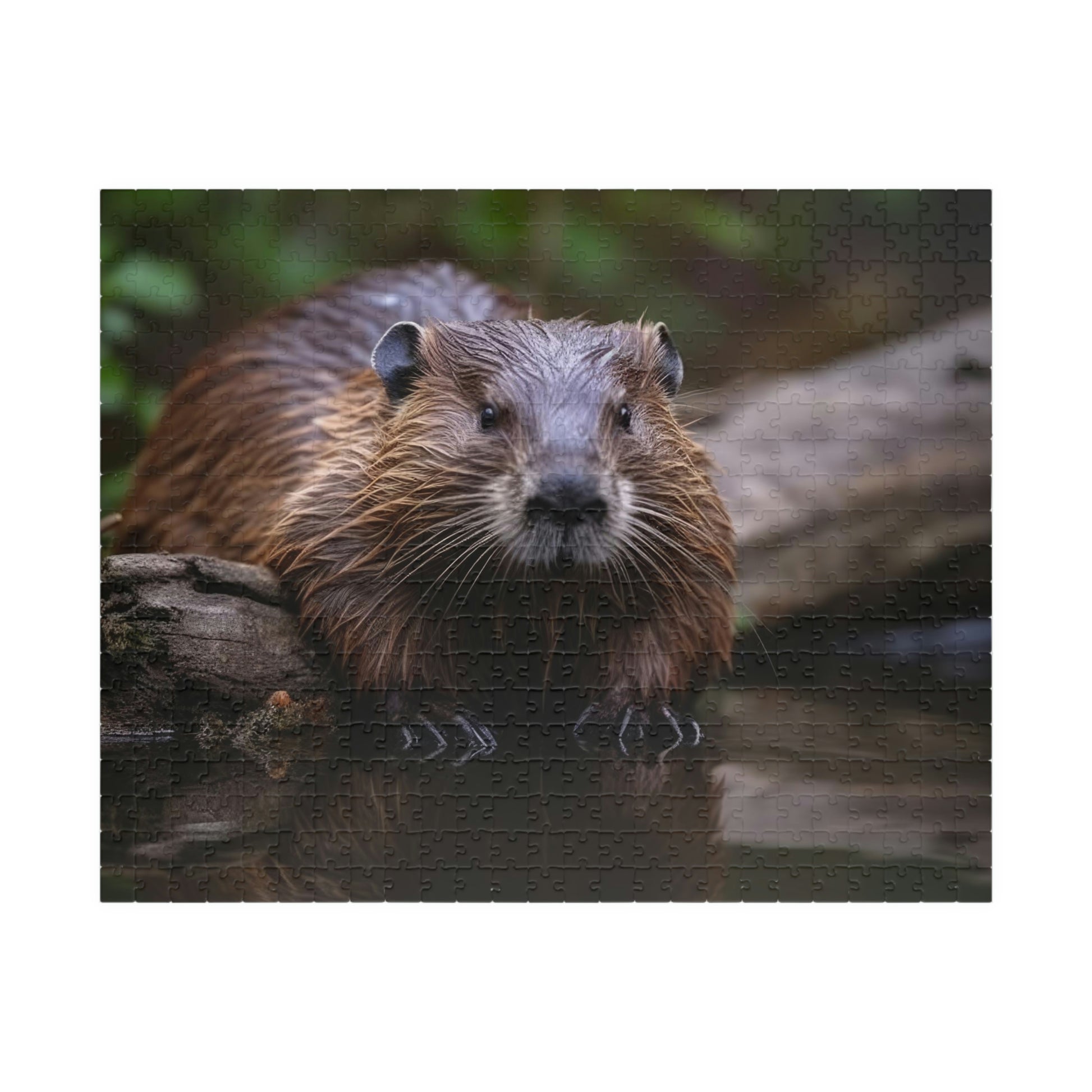 beaver jigsaw puzzle